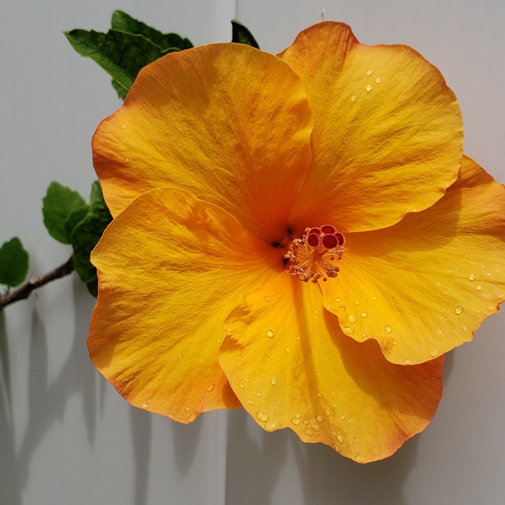 Clothing, Jewelry, shoes